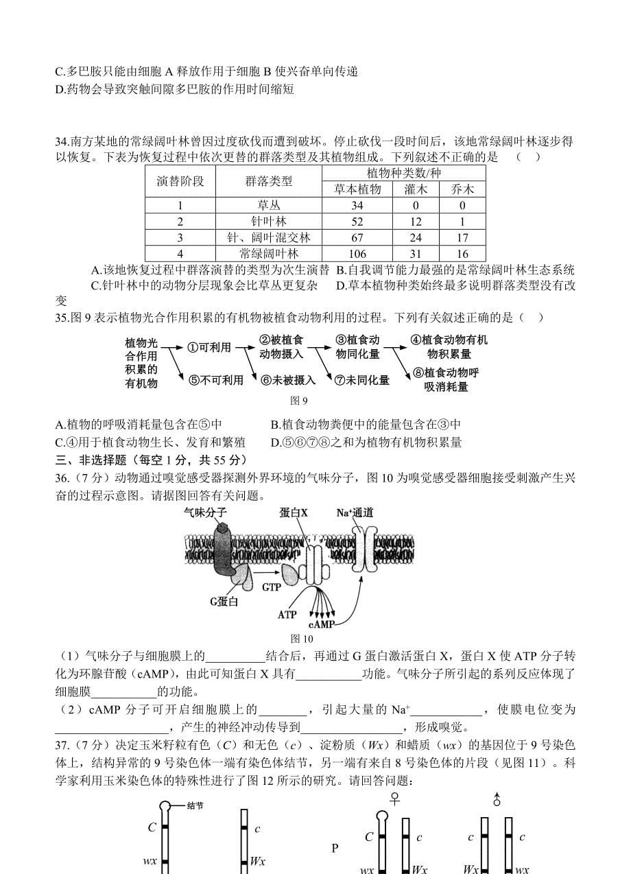 北京市海淀区2014届高三上学期期末考试 生物_第5页