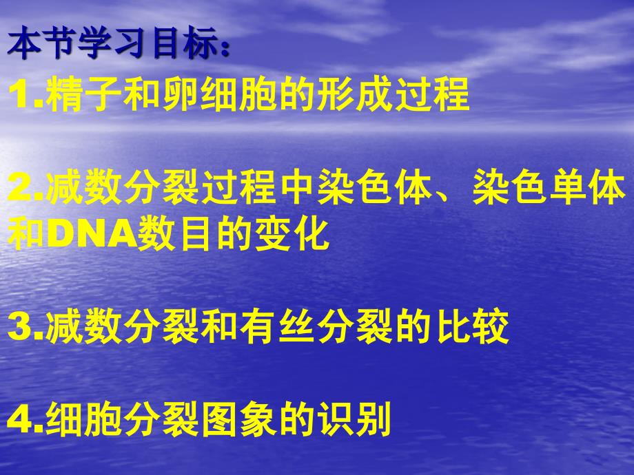 减数分裂和有性生殖细胞的形成 人教版_第2页