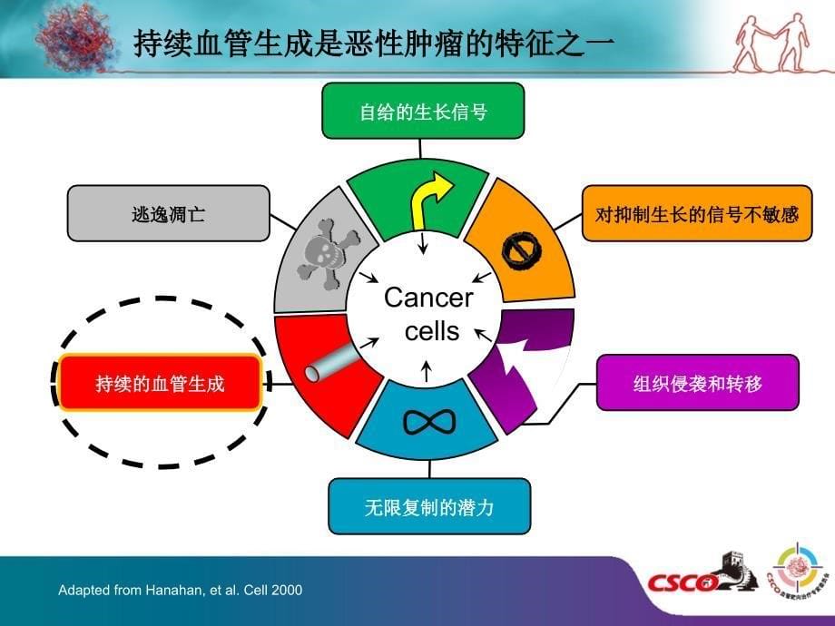 刘云鹏：抗血管生成对于肿瘤治疗的重要意义_第5页