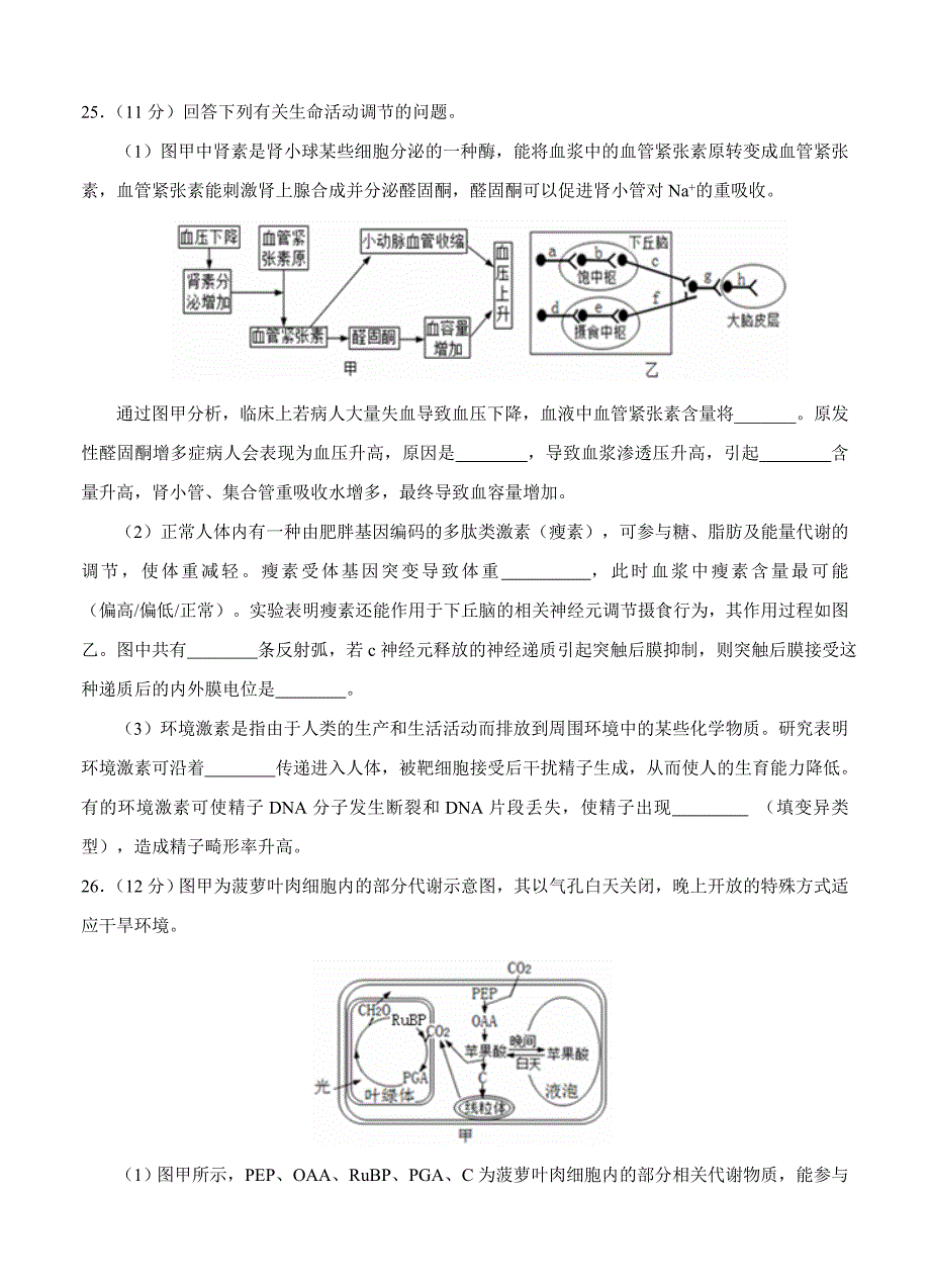 山东省枣庄市薛城区舜耕中学2015届高三4月模拟考试生物试题_第3页