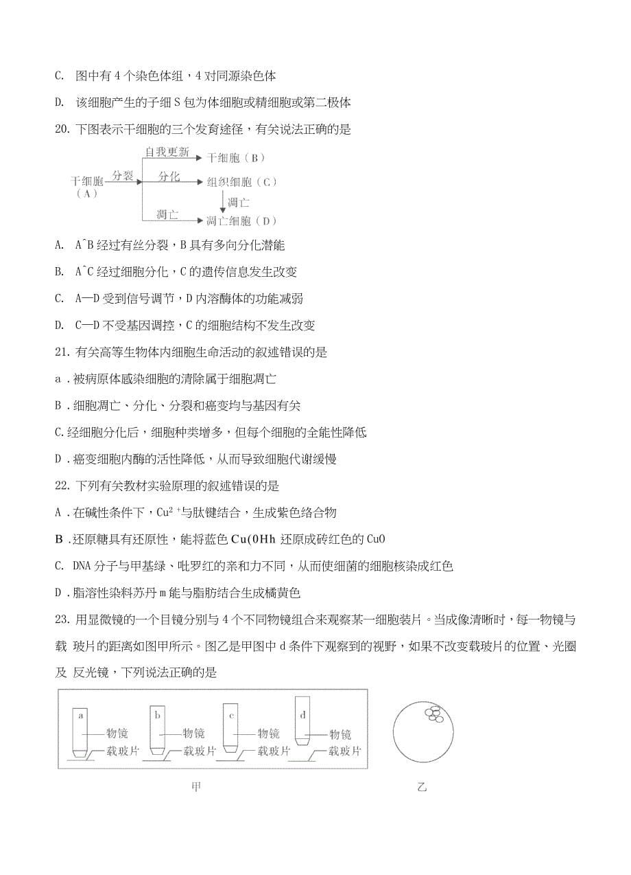 安徽省泗县双语中学2014届高三摸底测试生物试题_第5页