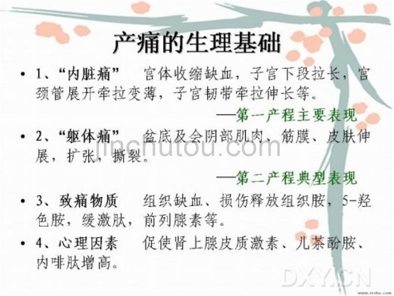 享受无痛人面 幸福快乐做妈妈_第4页