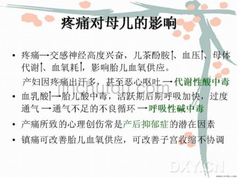 享受无痛人面 幸福快乐做妈妈_第5页