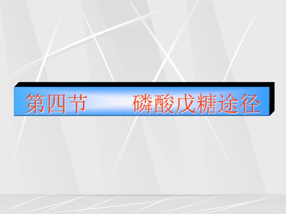 02 物质代谢及其调节2幻灯片_第2页