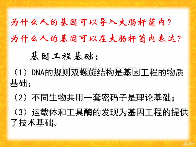 高二生物选修3 基因工程简介_第4页