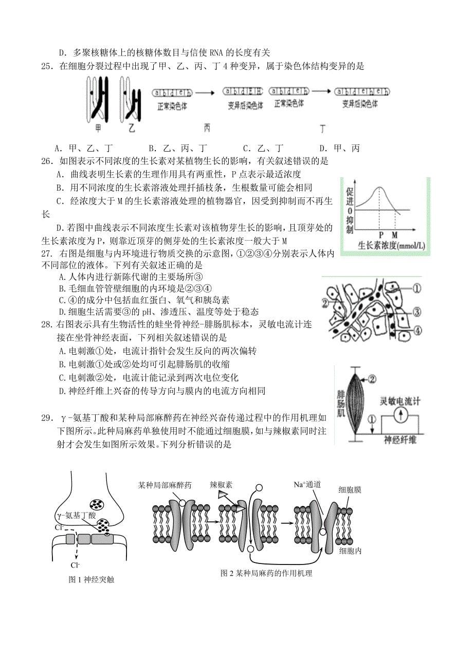 浙江省温州市十校联合体2015届高三上学期期初联考生物试题_第5页