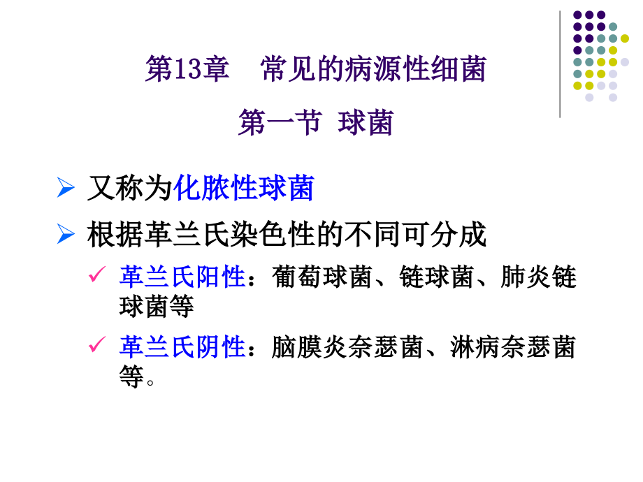 09-7.常见病源性细菌幻灯片_第1页