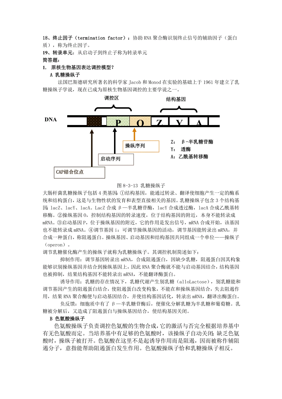 分子生物学重要知识点_第2页