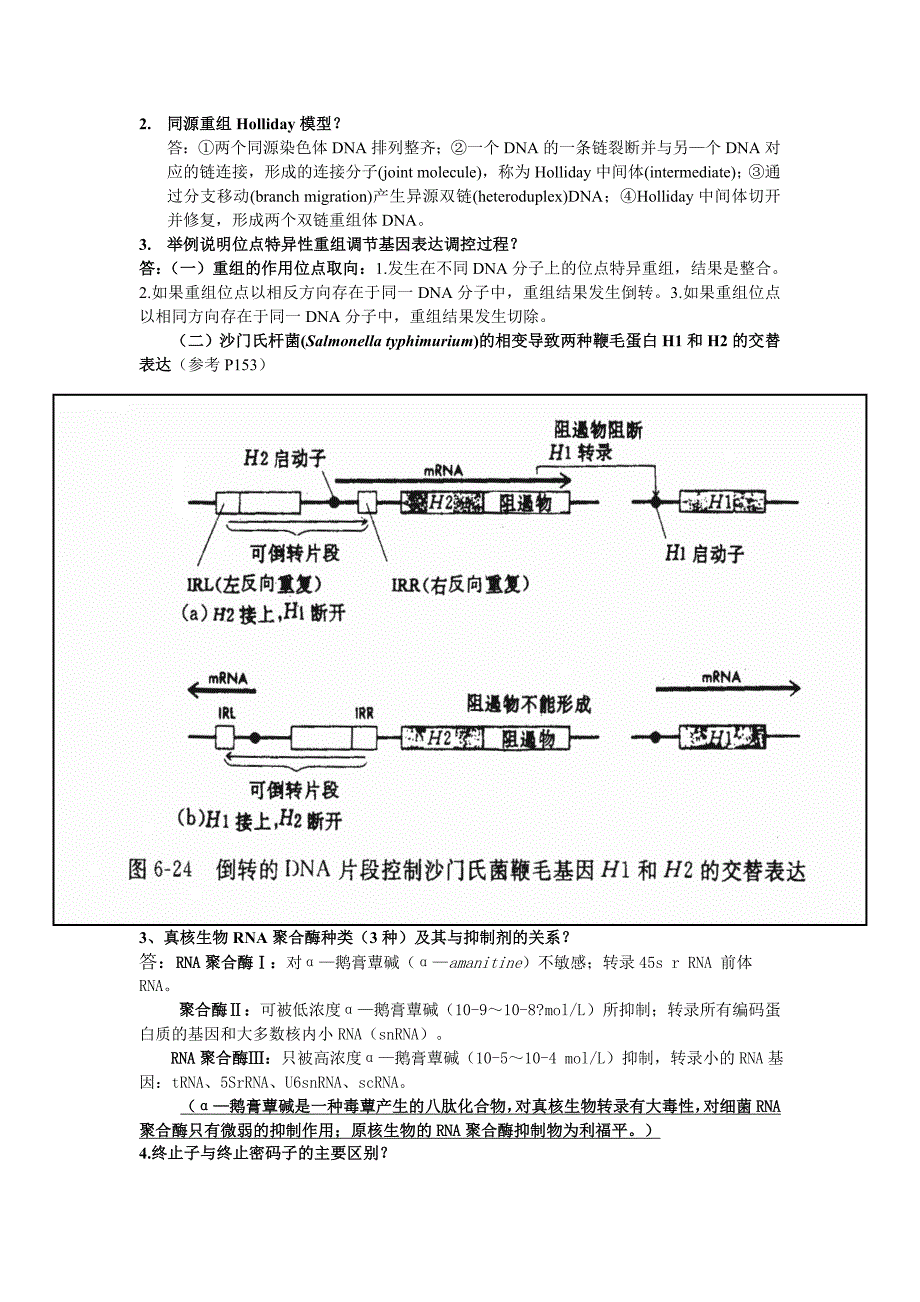 分子生物学重要知识点_第3页