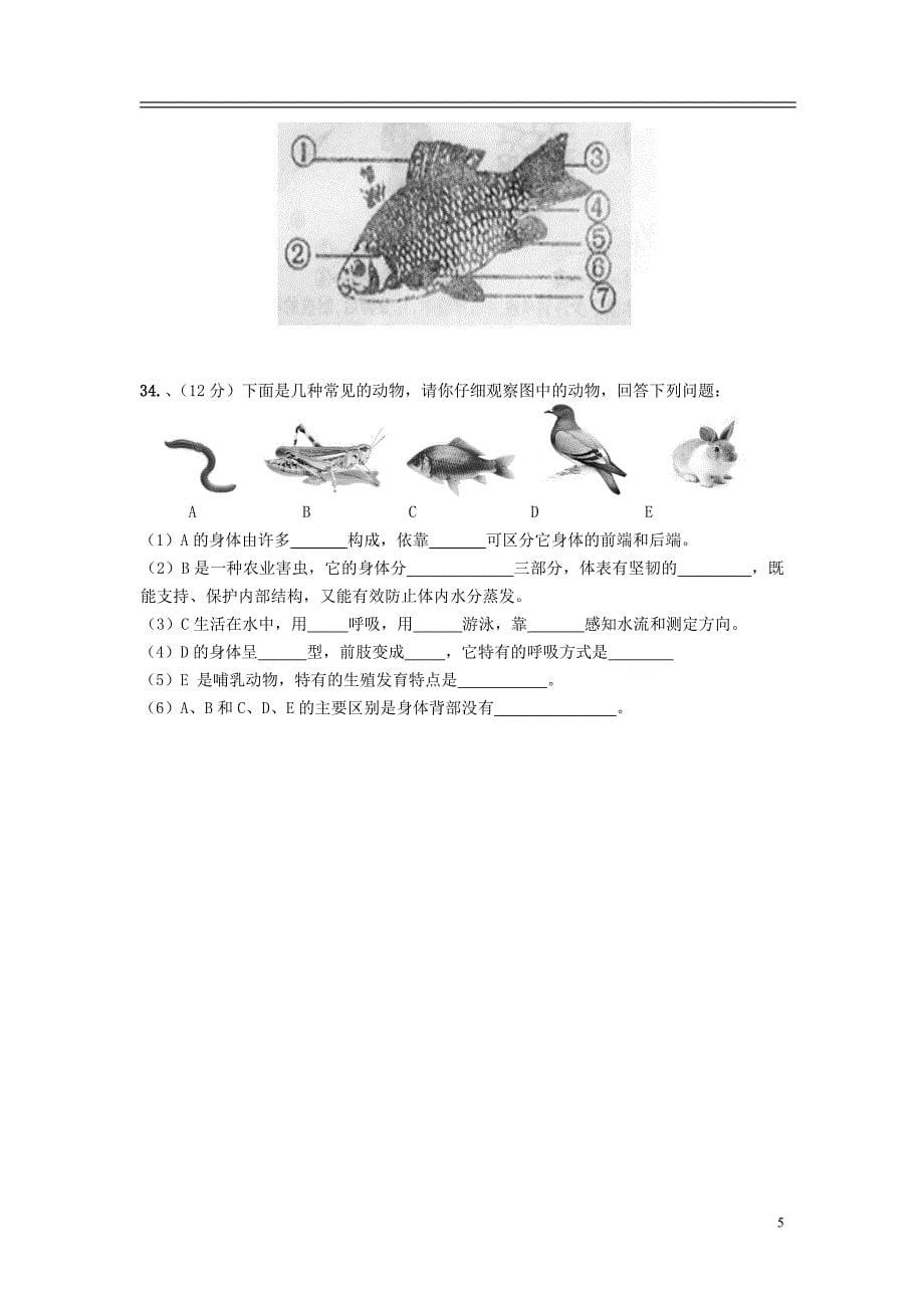 江西省宜春市七年级生物上学期寒假作业 冀教版_第5页