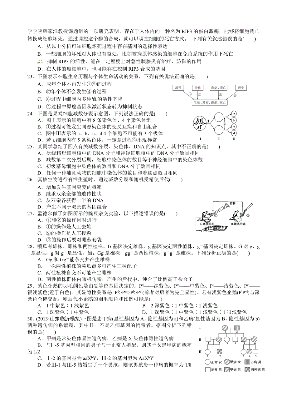 吕叔湘中学高三生物国庆作业_第3页