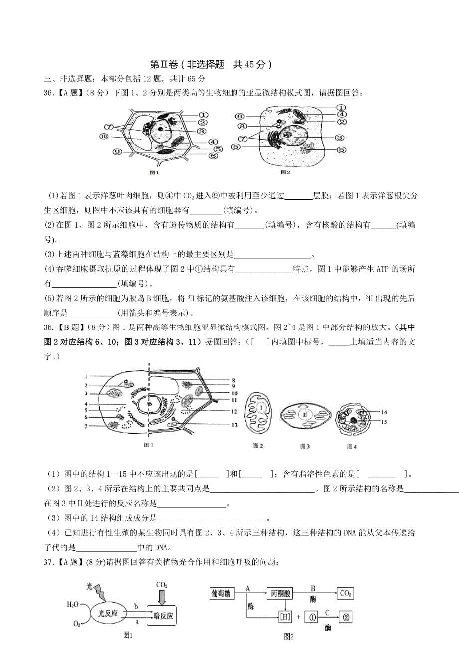 吕叔湘中学高三生物国庆作业_第5页