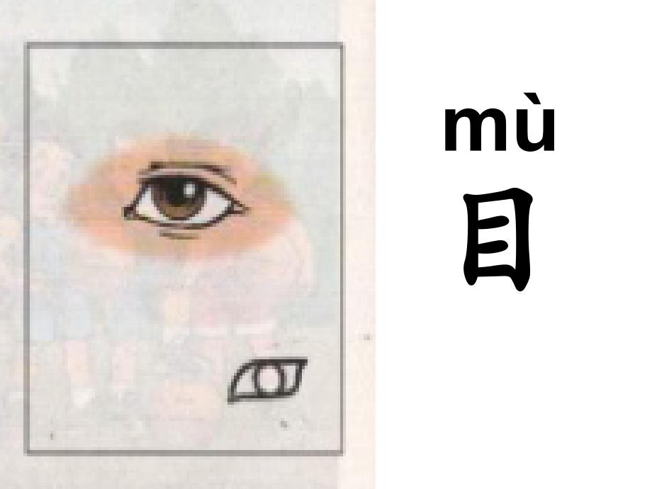 人教版小学语文一年级识字1——2《口耳目》教学课件_第4页