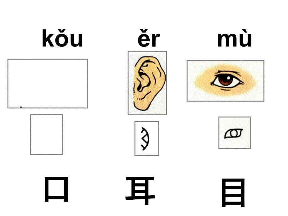 人教版小学语文一年级识字1——2《口耳目》教学课件_第5页