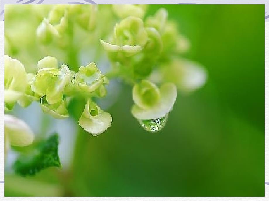 雨说课件(1)_第4页