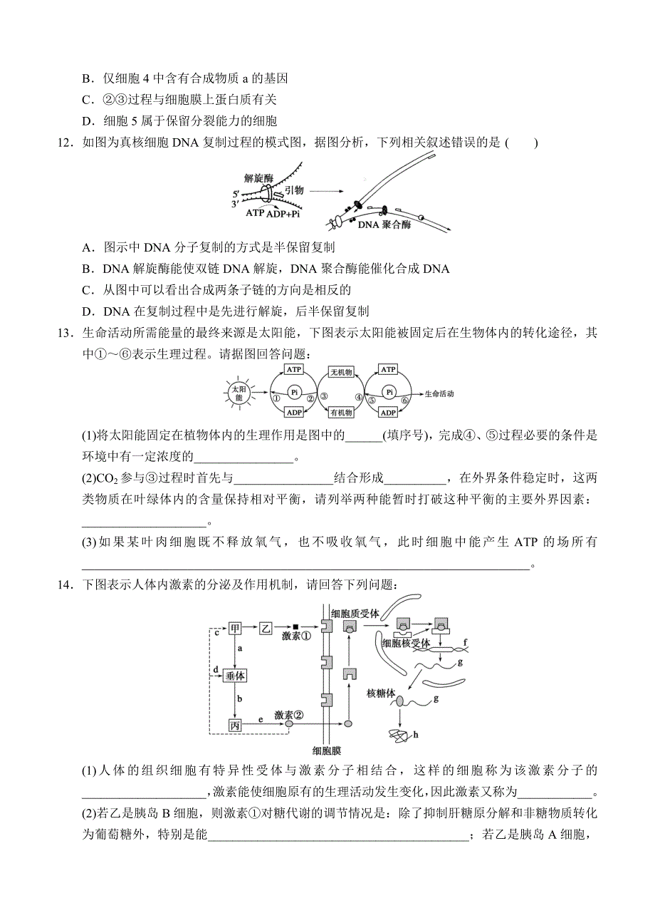 2013届高三生物二轮专题复习卷 专题十　热点题型突破 题型二　图解图示类突破_第4页