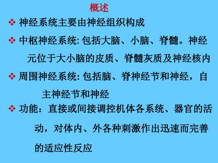 08神经系统幻灯片_第2页