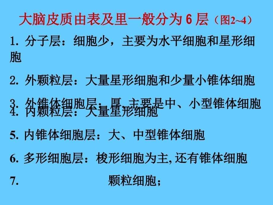 08神经系统幻灯片_第5页