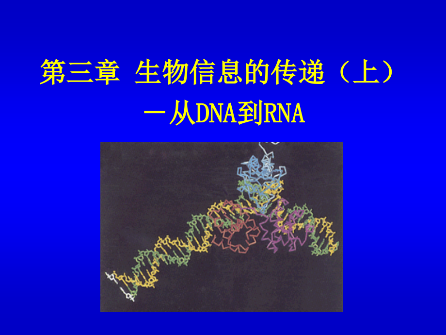生物化学 生物信息的传递(上)-从DNA到RNA_第1页