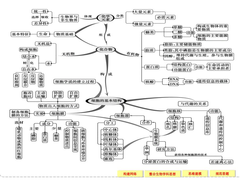 专题一   细胞的分子组成与结构   整合提升_第2页