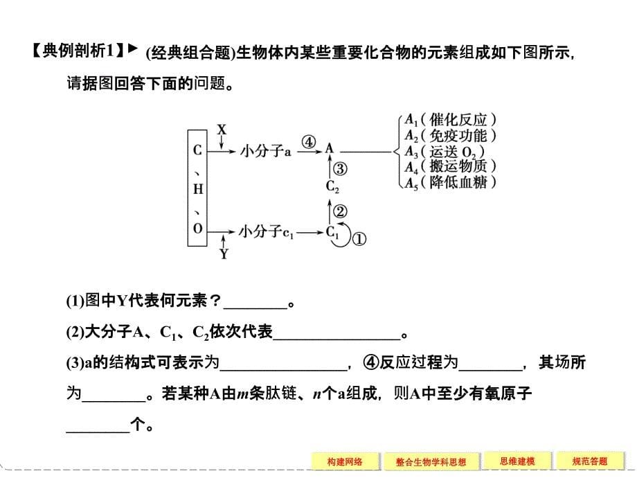 专题一   细胞的分子组成与结构   整合提升_第5页