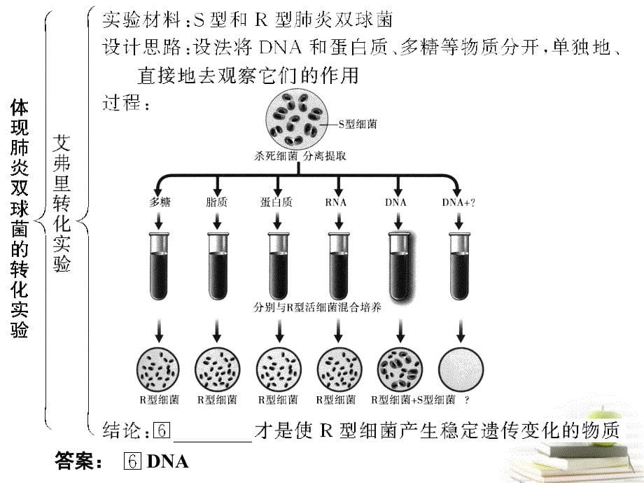 高考生物一轮复习课件_第5页