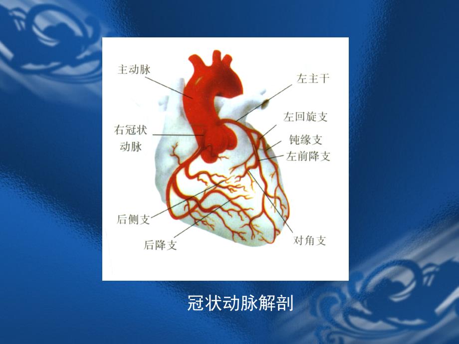 围手术期心肌缺血的诊断和治疗_第2页