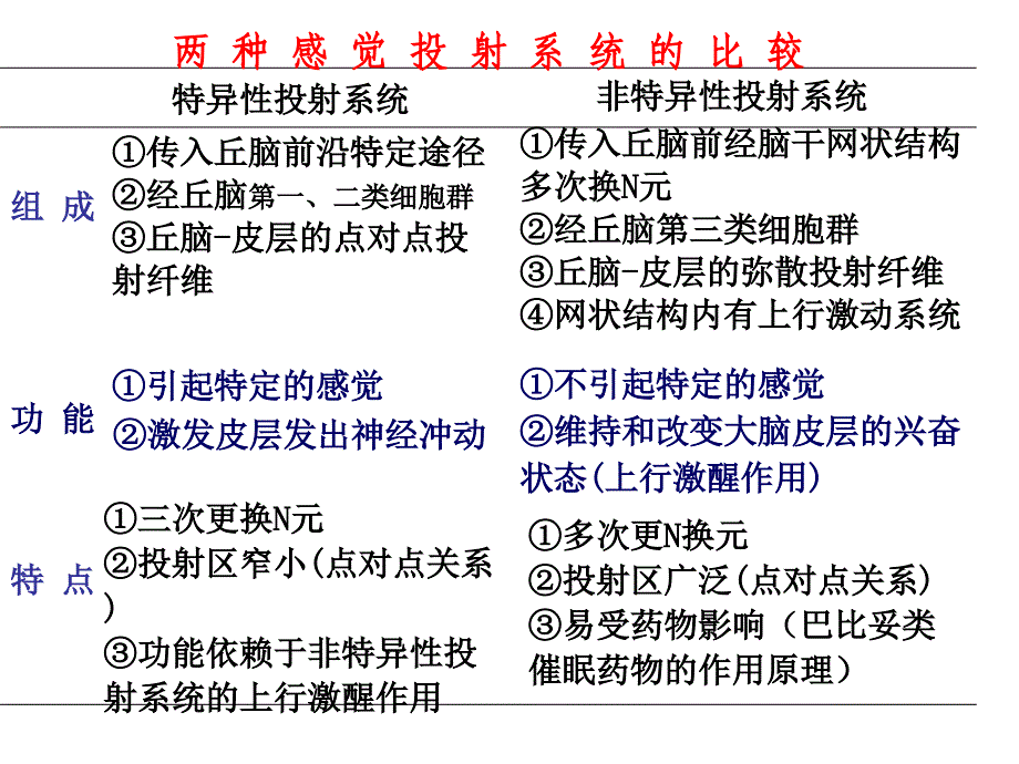 3.2神经系统的感觉分析幻灯片_第3页