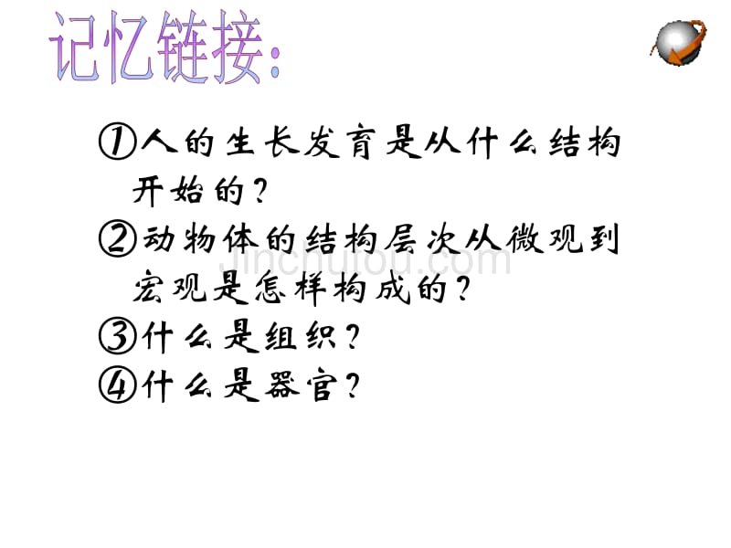 植物体的结构层次使用课件_第1页