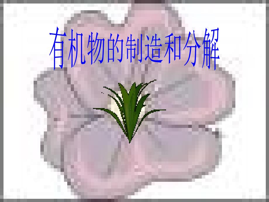 九年级生物有机物的制造和分解_第2页