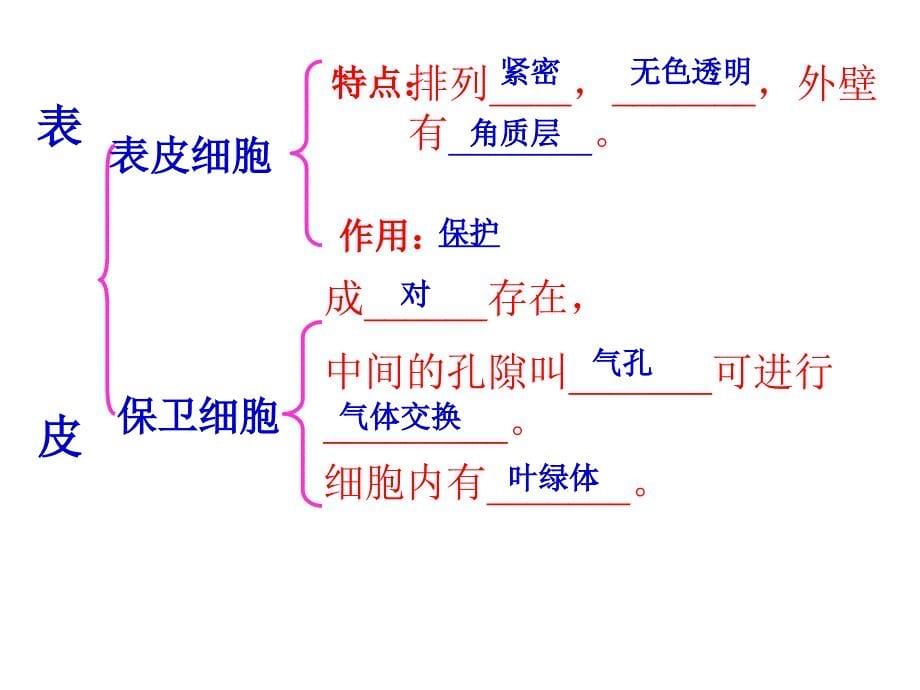 九年级生物有机物的制造和分解_第5页