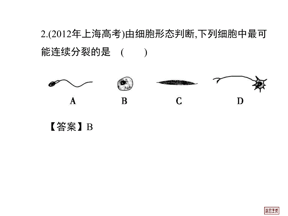 细胞的有丝分裂和增殖的周期性_第2页