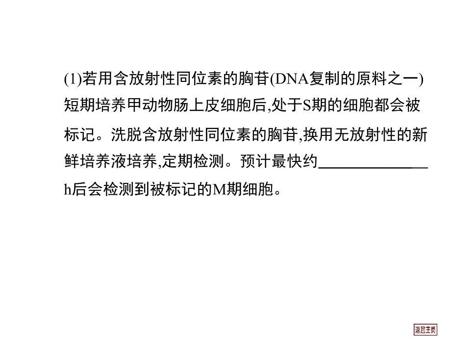 细胞的有丝分裂和增殖的周期性_第4页