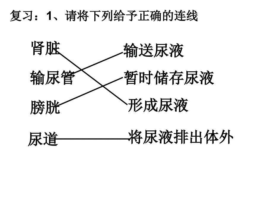 体内物质的动态平衡--浙教版_第5页