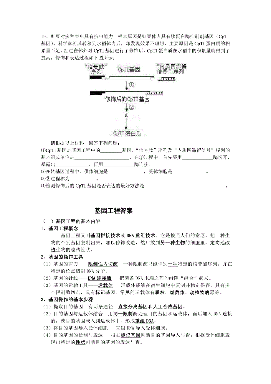 基因工程学案_第4页