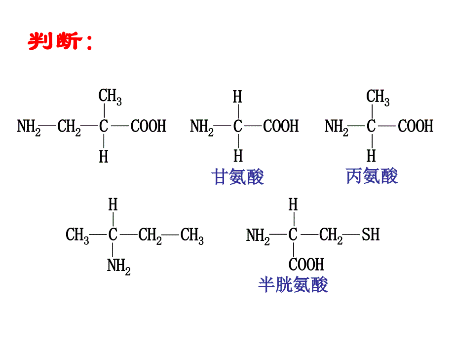 三、蛋白质的结构1_第3页