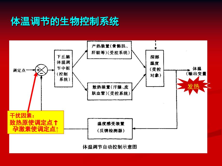 003常见急症识别与救治I幻灯片_第3页