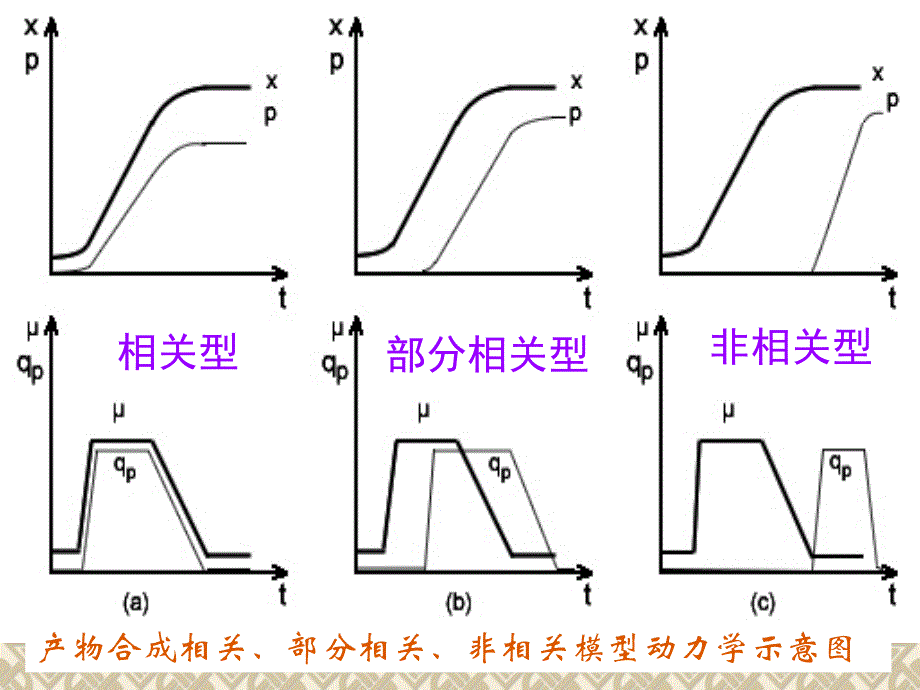 发酵过程_第4页