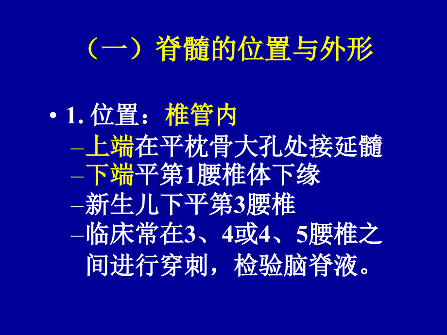 3.4神经系统解剖幻灯片_第3页