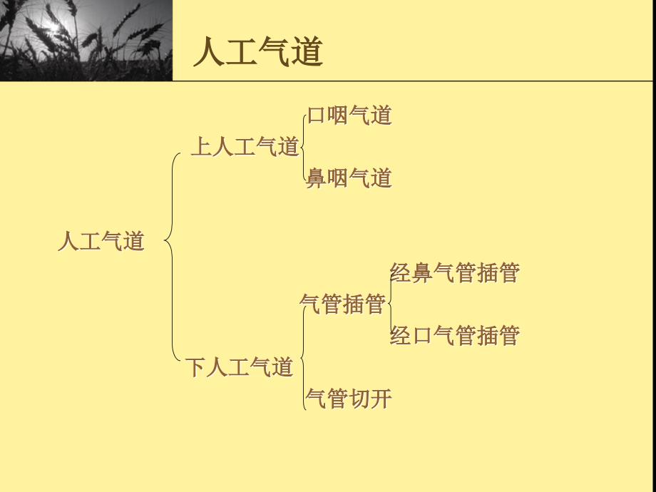 人工气道护理_第3页