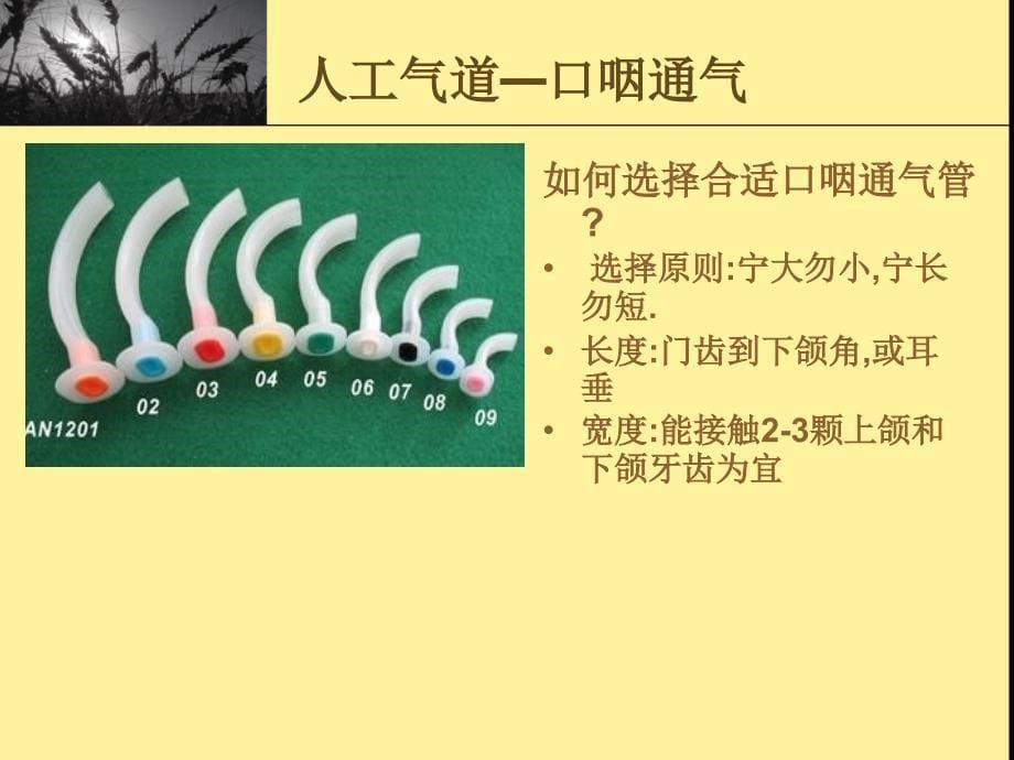 人工气道护理_第5页