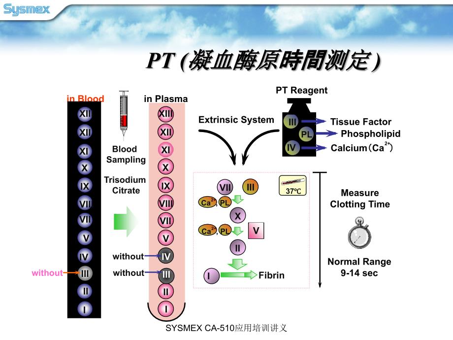 06-凝血四项原理及临床意义幻灯片_第2页