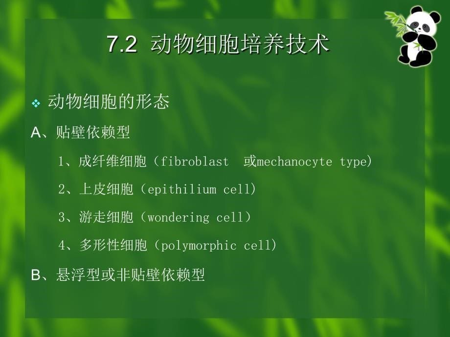 动植物细胞大规模培养_第5页