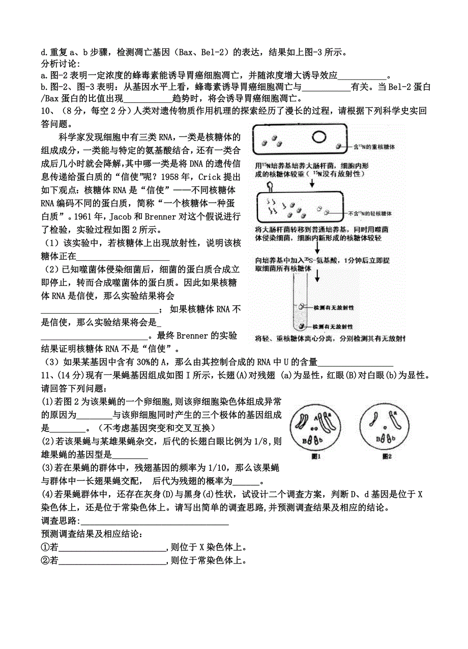 四川省乐山市第一中学2014届高三上学期10月月考生物_第4页