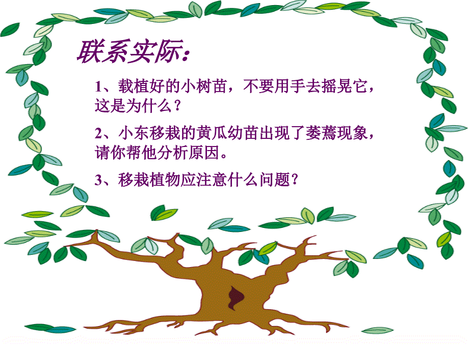 七年级生物ppt课件-水分进入植物体内的途径_第4页