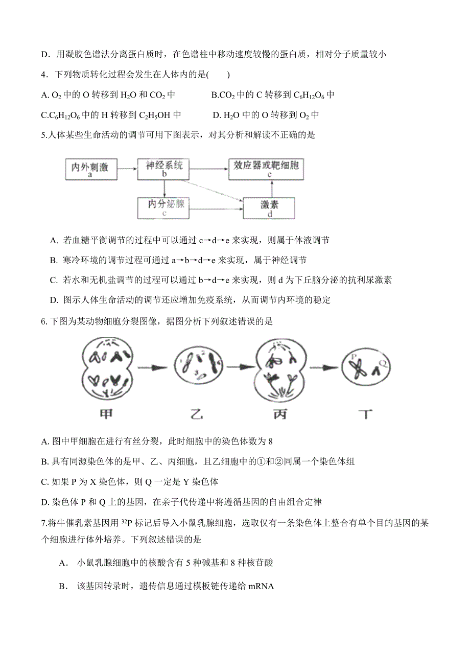 四川省邛崃市2015届高三上学期第二次月考生物试题_第2页