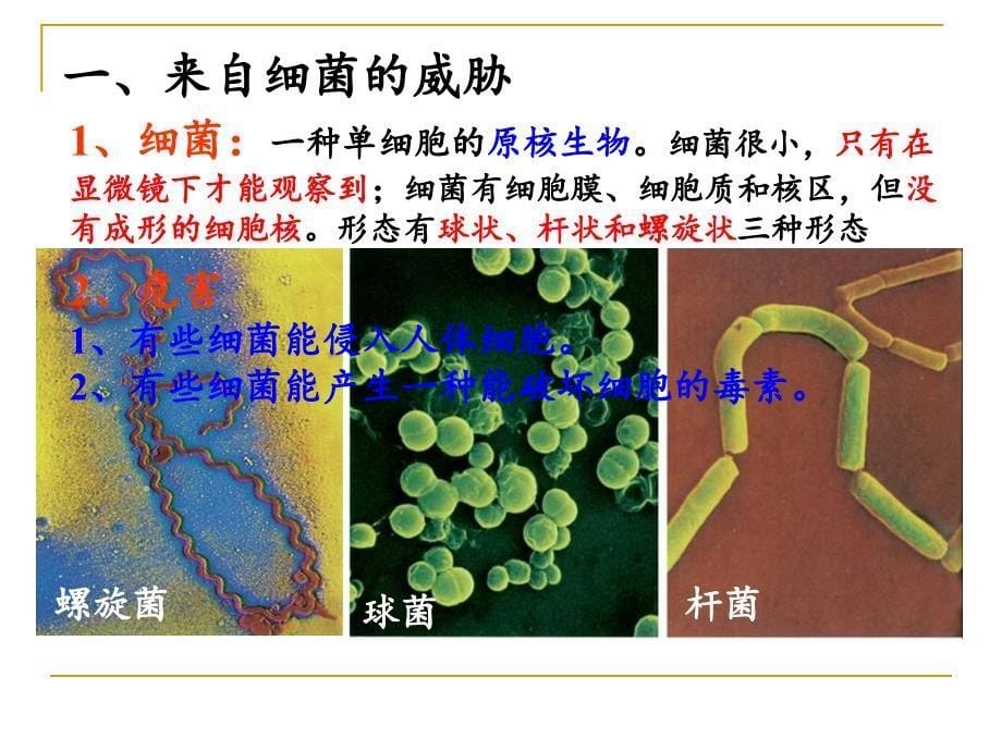 2 来自微生物的威胁1幻灯片_第5页