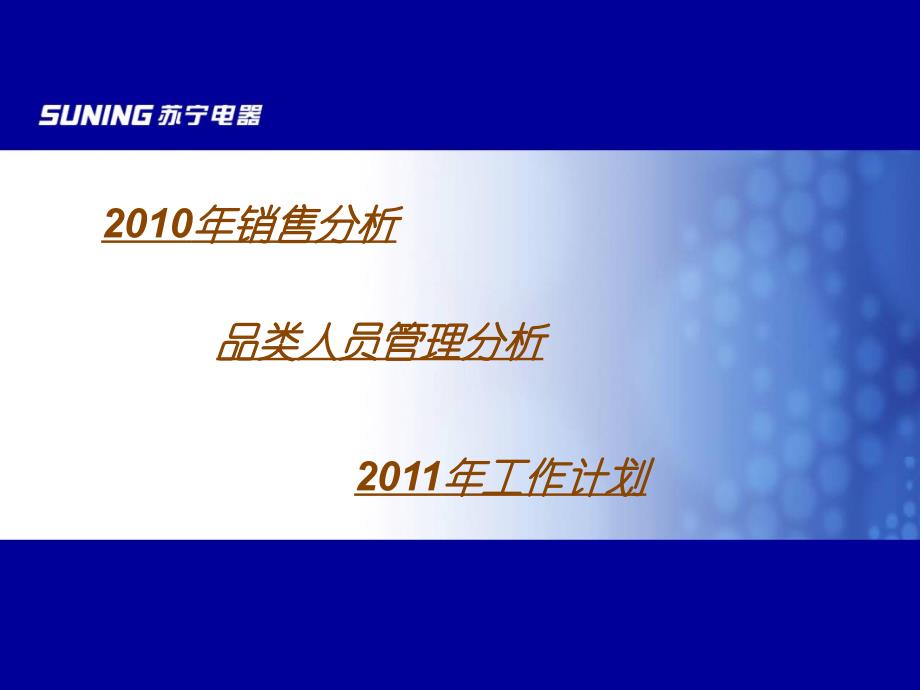 苏宁黑电督导2010年终述职_第2页