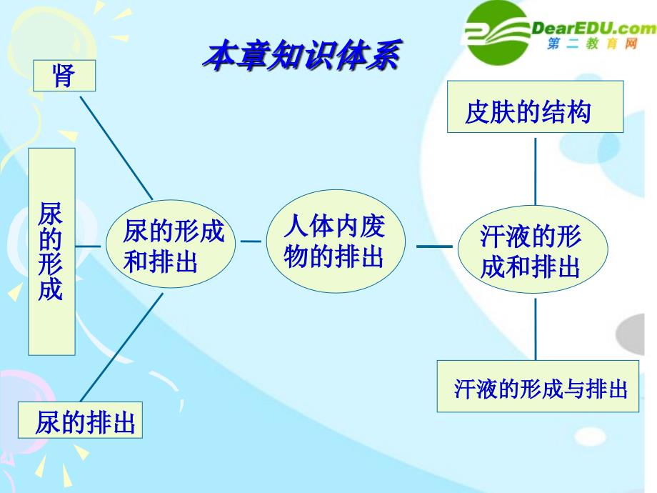 七年级生物下册第四章《人体内废物的排出》复习_第2页