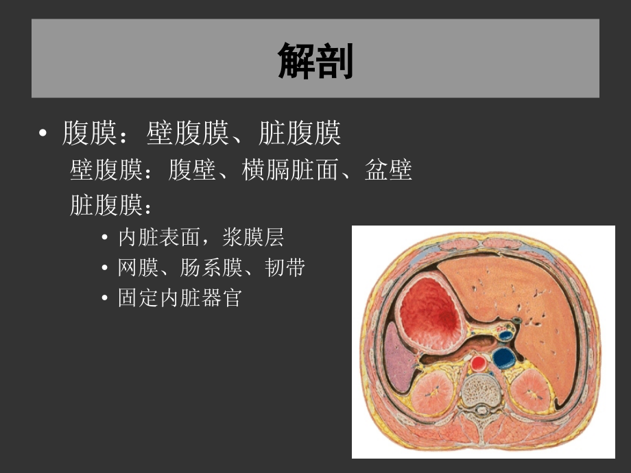 05-急性化脓性腹膜炎3-2幻灯片_第3页